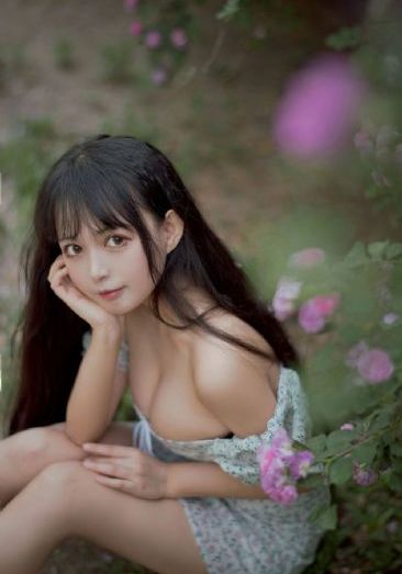 欧美电视品牌排行榜_DVD电影在线看