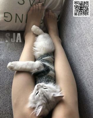 国产男女猛烈无遮挡性视频网站_高清动漫免费观看